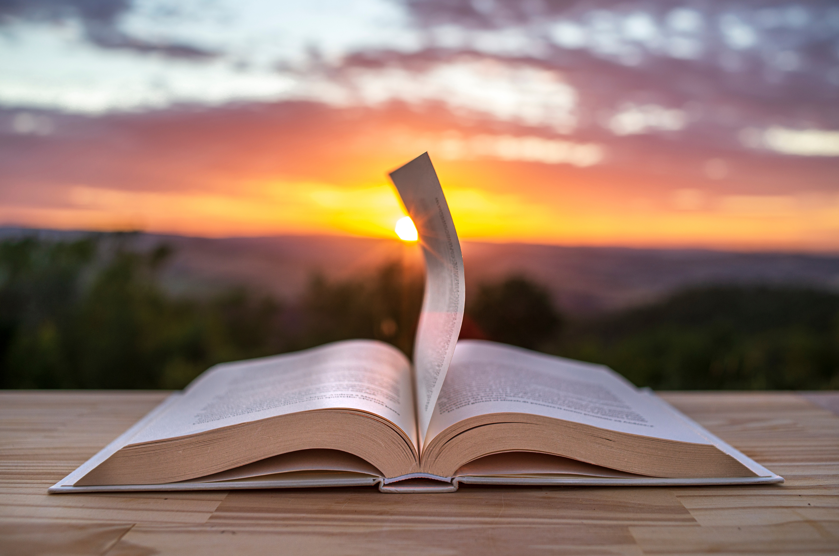 Immagine che raffigura Aperi-libri