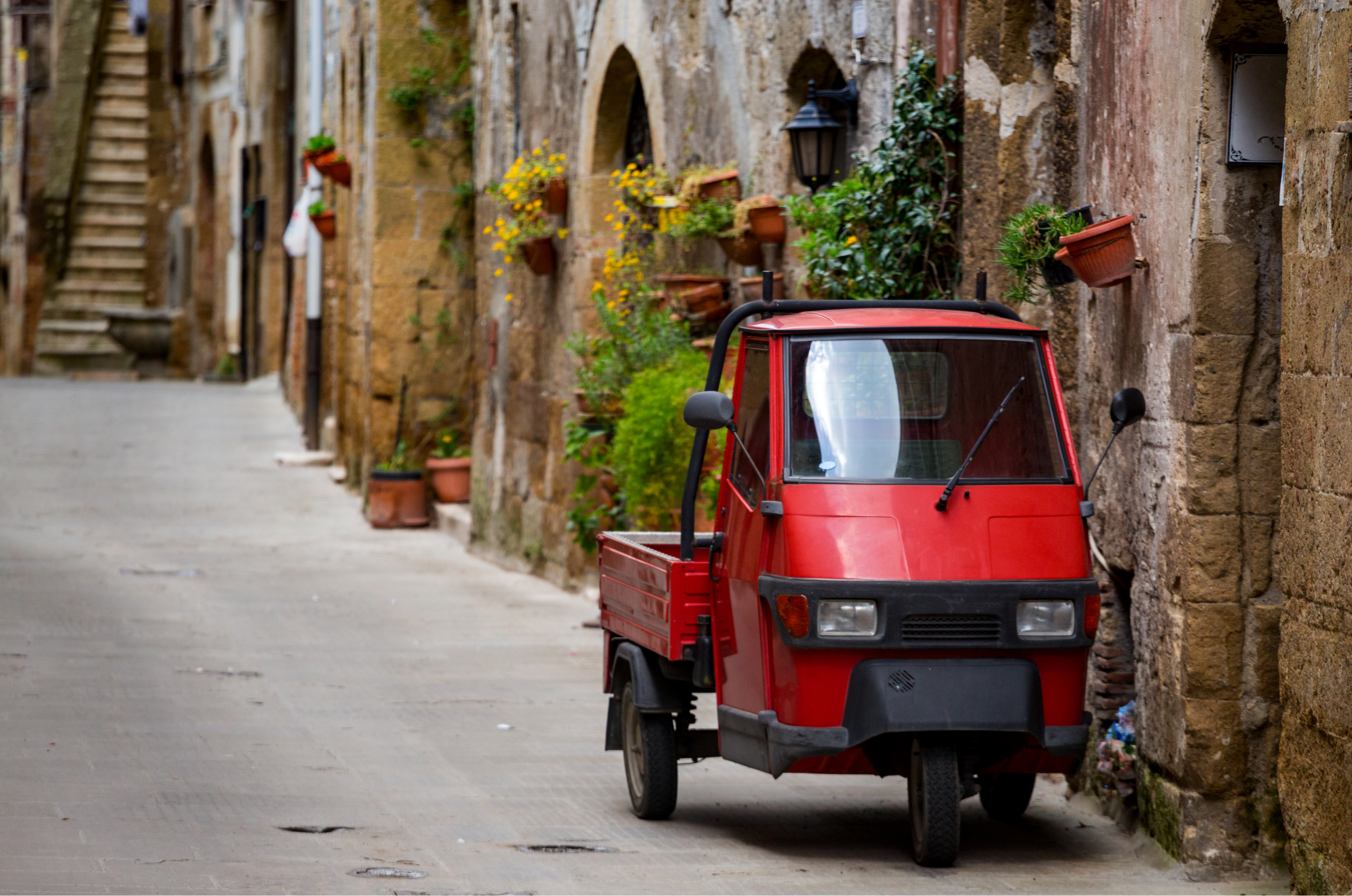 Immagine che raffigura Libri in apecar