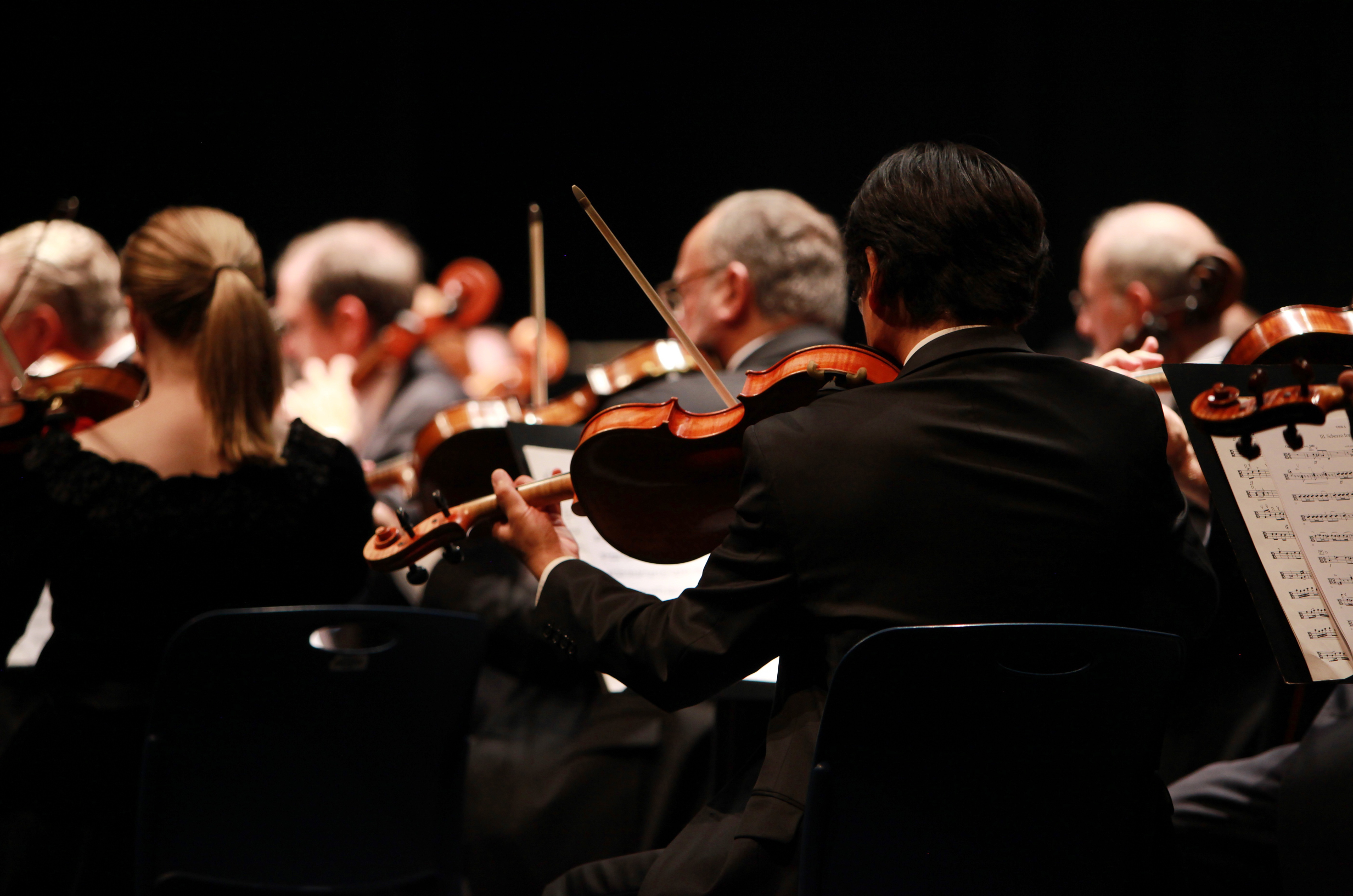 Immagine che raffigura Concerto Rovereto Wind Orchestra