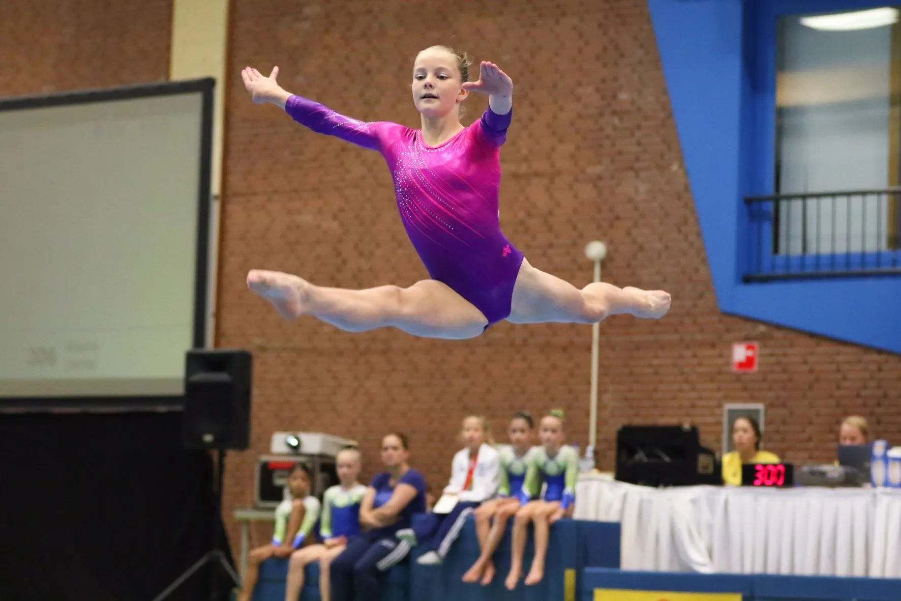 Immagine che raffigura Saggio di ginnastica artistica