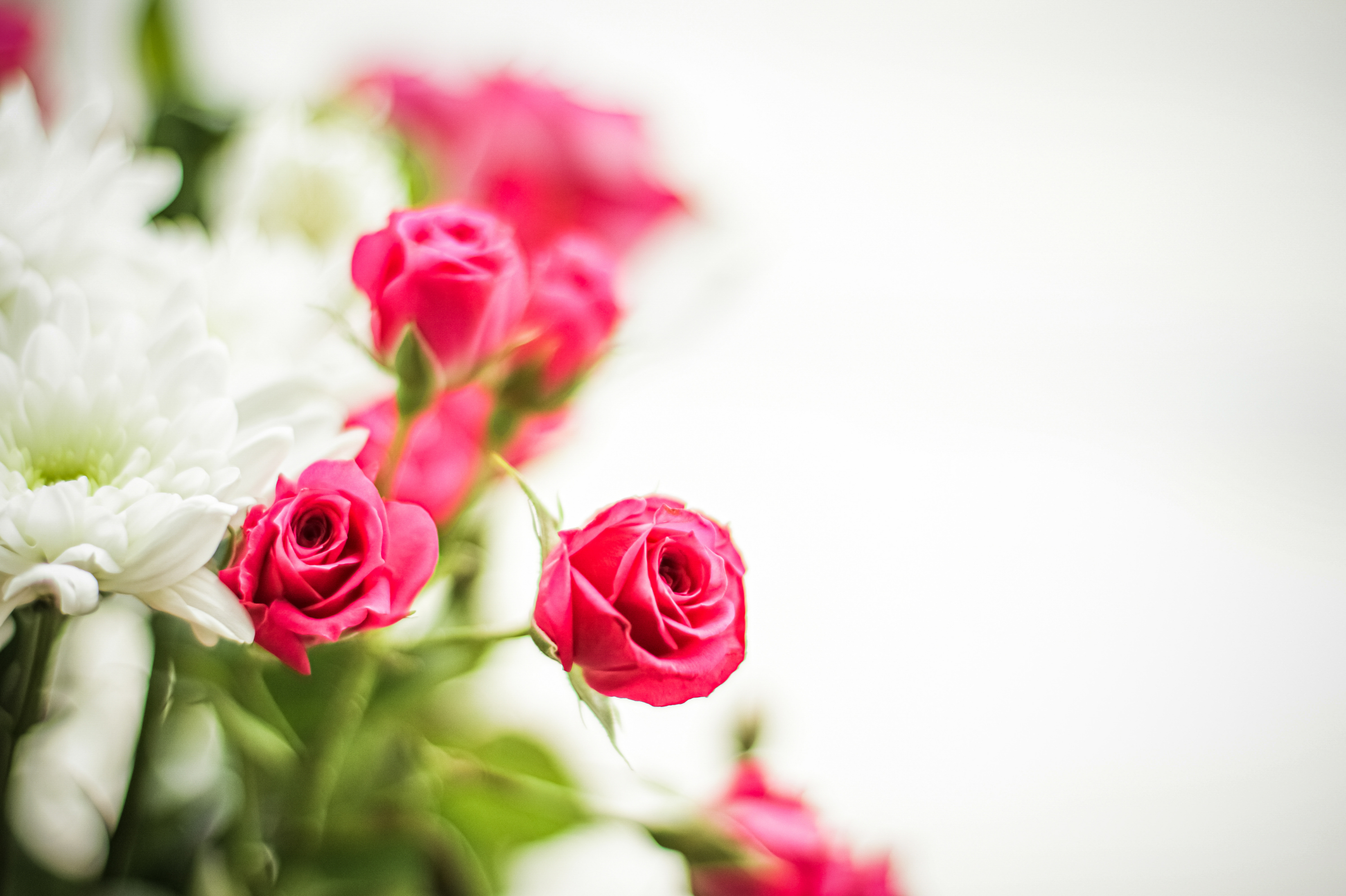 Immagine che raffigura Quattro comuni in cammino contro la violenza alle donne