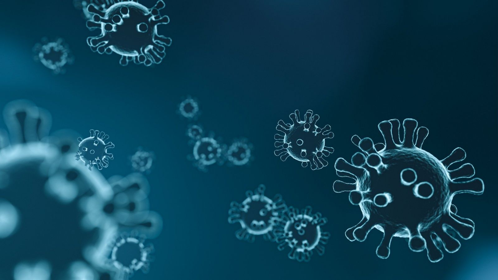 Immagine che raffigura Giornata nazionale in memoria delle vittime dell'epidemia di Coronavirus