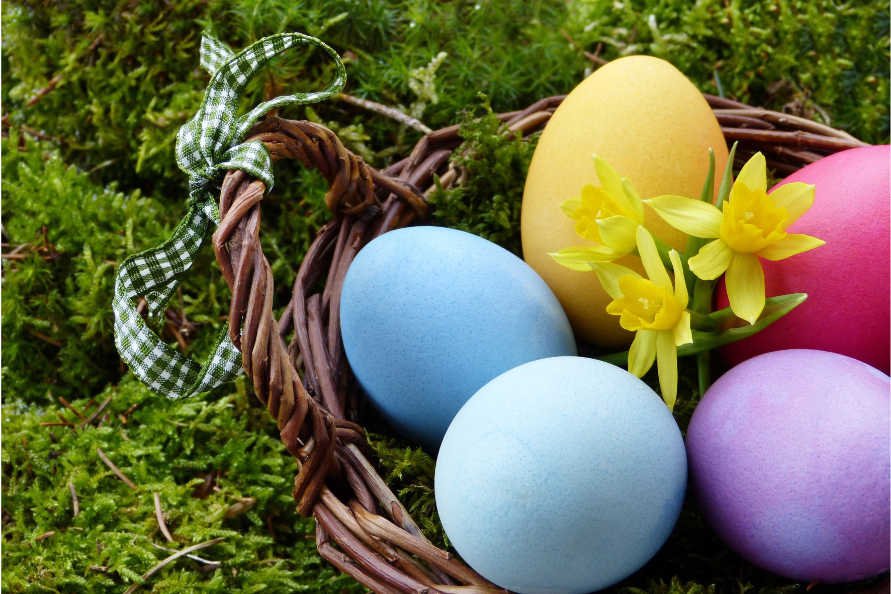Il Sindaco e l’Amministrazione comunale augurano buona Pasqua a tutta la cittadinanza.