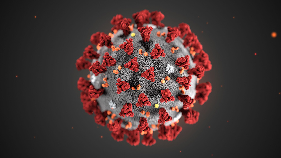 Immagine che raffigura Coronavirus - Informazioni e servizi